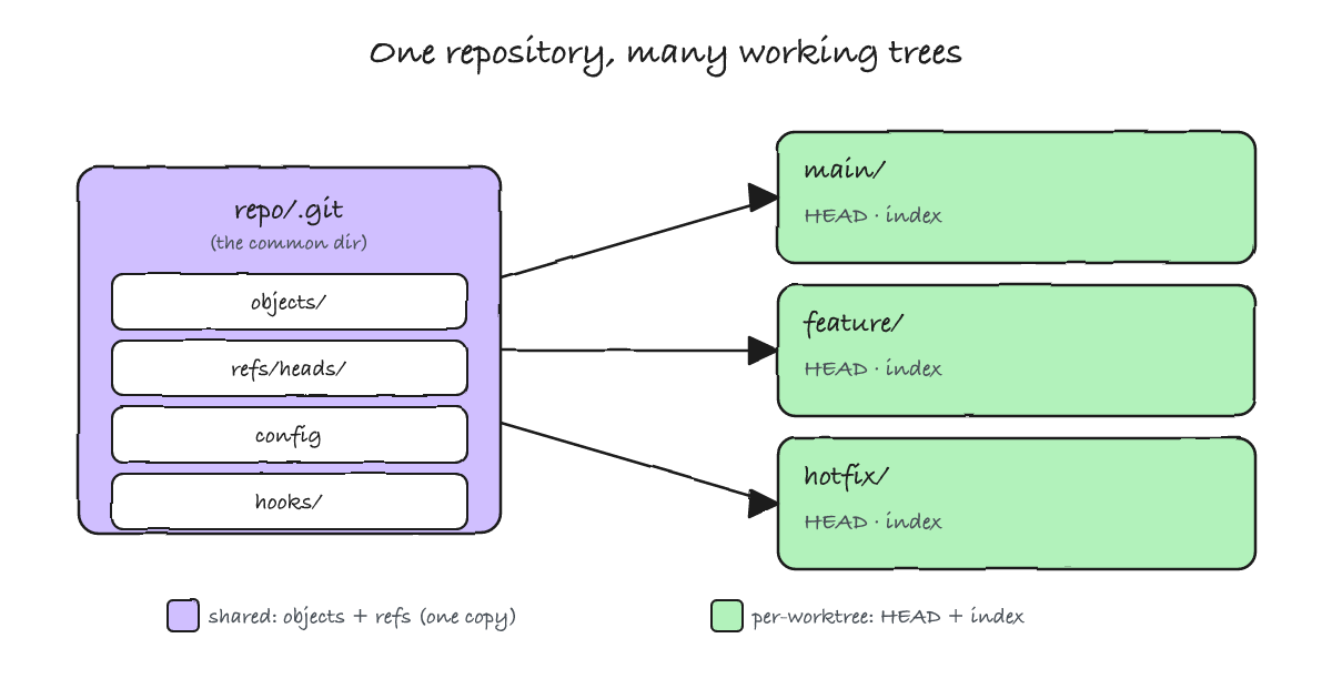 A single repo/.git common directory holding objects, refs, config and hooks, feeding three working trees that each keep their own HEAD and index