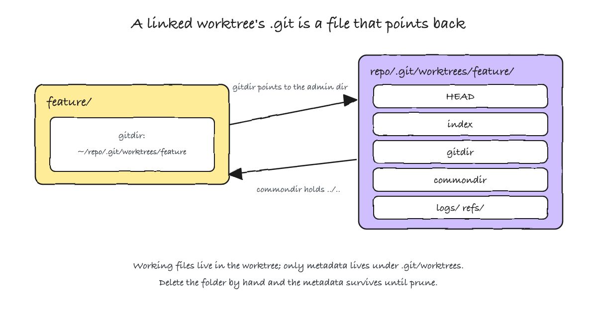 The linked worktree's .git file points via a gitdir pointer into the repository's worktrees admin directory, which points back and also stores a commondir file